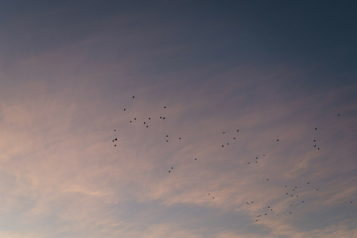 Marta e Domenico 1011 Marta e Domenico 1011