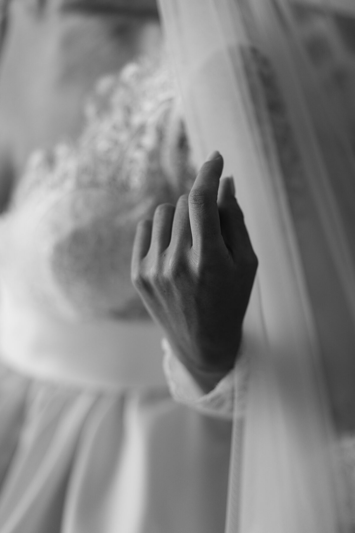 Marta e Domenico 501 Marta e Domenico 501